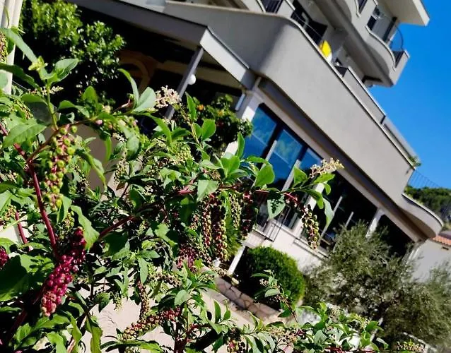 Ivando Hotel Drvenik (Split-Dalmatia)